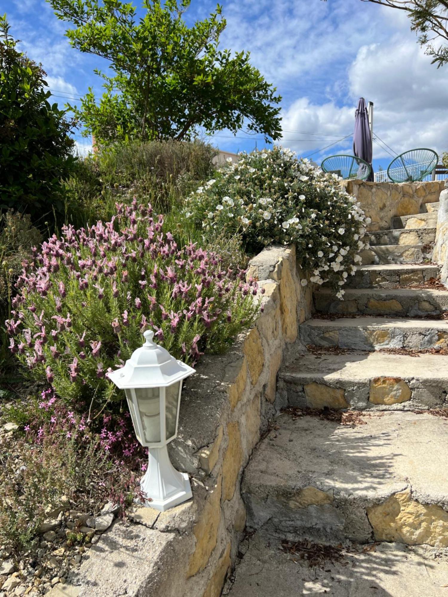 Le Gite Du Vigneron Lagorce  Bagian luar foto
